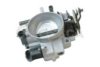 GM 17200006 Throttle body